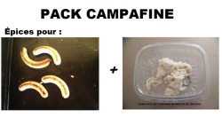 compocampafine_632193879