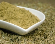 fenouil-4.jpg