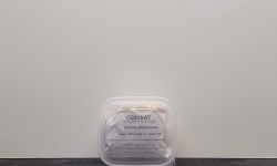 gb_55-60_bq