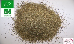 herbes_de_provence__bio3_1266328104