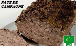 terrine_BIO.jpg