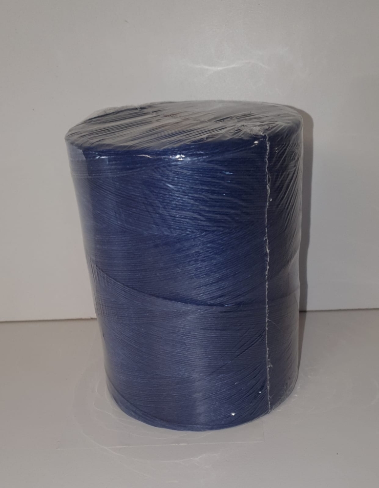 FICELLE_BLEUE.jpg