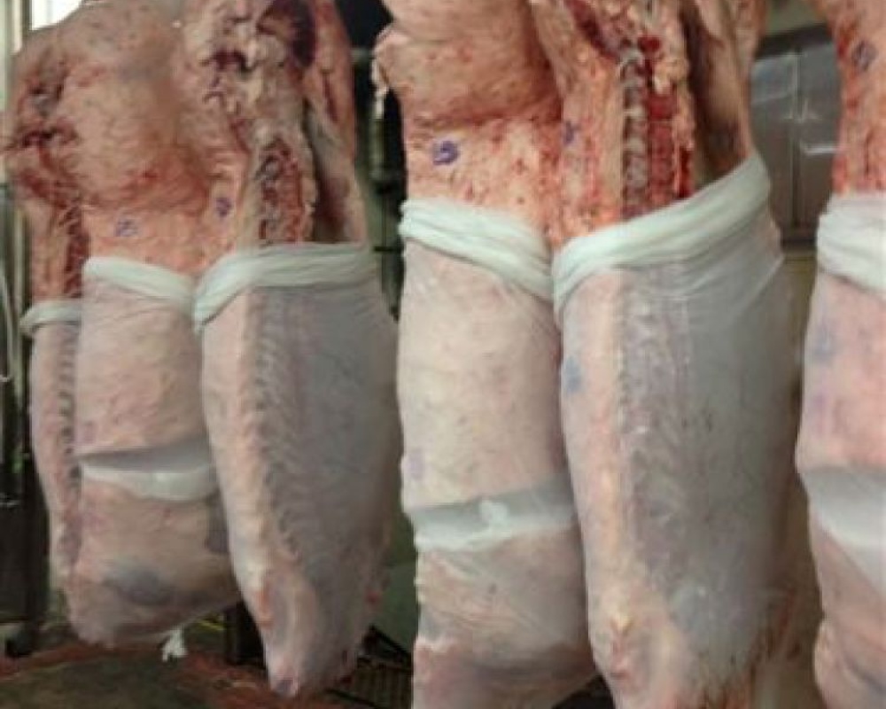 JAPANESE-CARCASS-10012JP-Hanging-carcs1.jpg