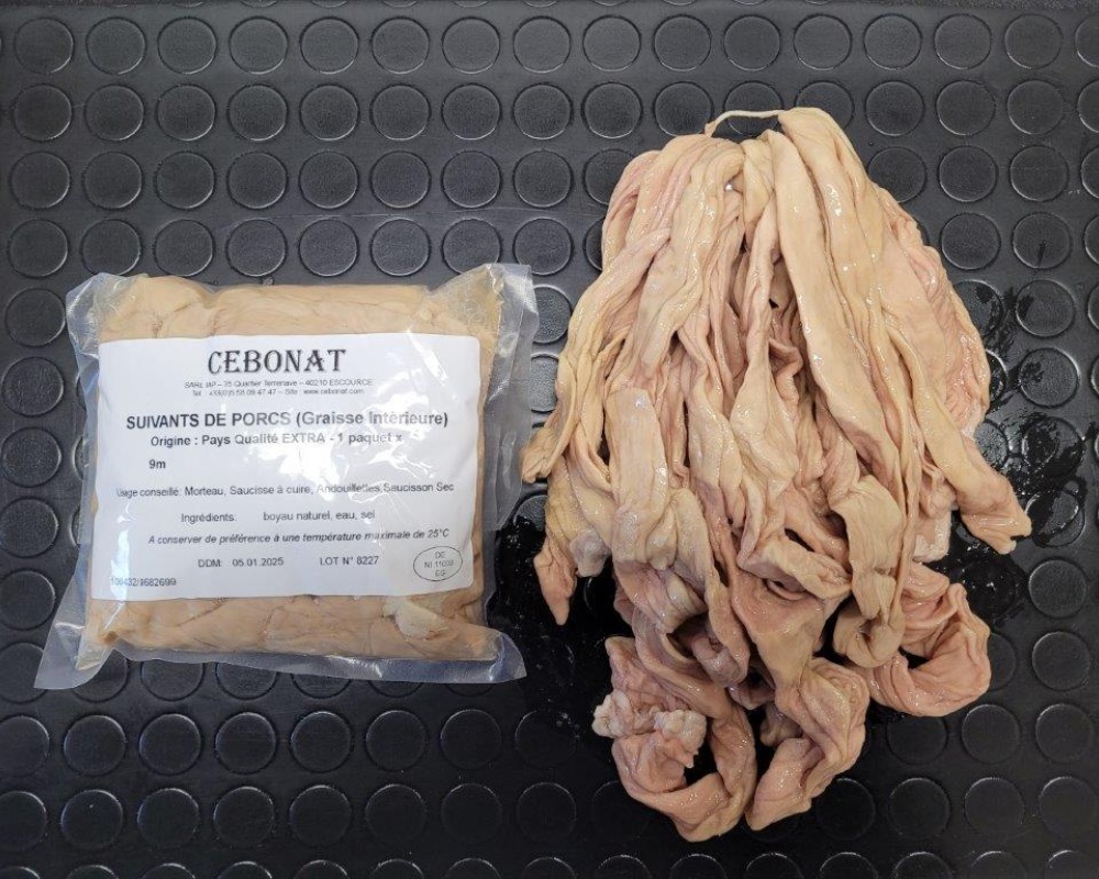 suivants_de_porcs_9m-2