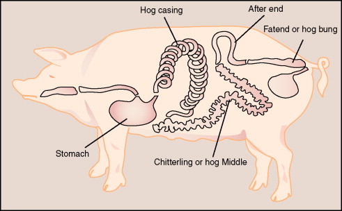 porc gb